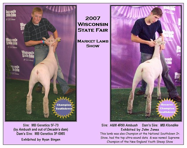 2007WI State Fair Wethers